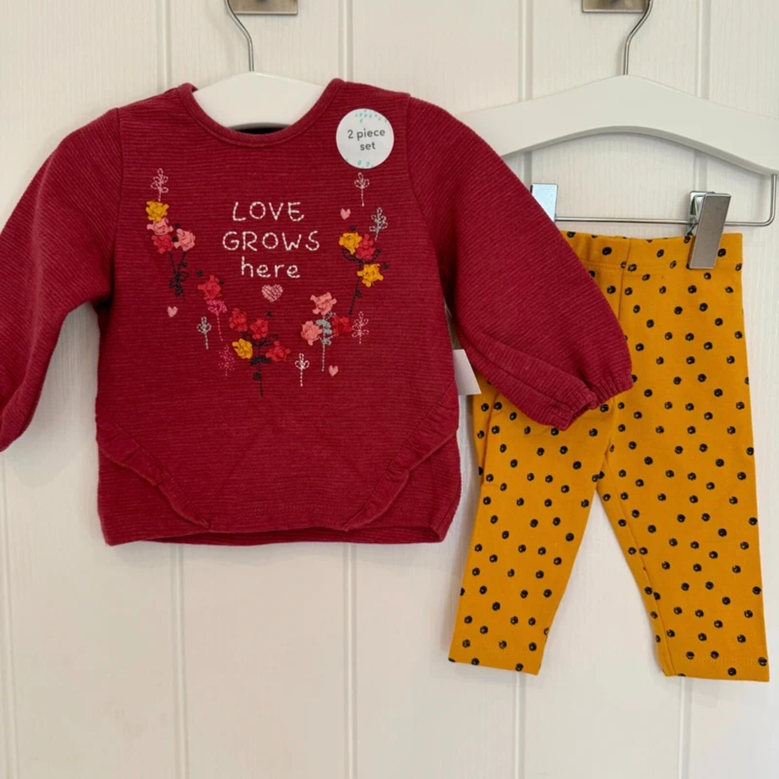 Baby Girl 0-3 months F&F 2 Piece Love Grows Here Outfit BNWT (54 21)