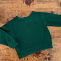 Young Boy age 3 3T Ralph Lauren Polo Green Ribbed Pullover Sweatshirt (21 17)