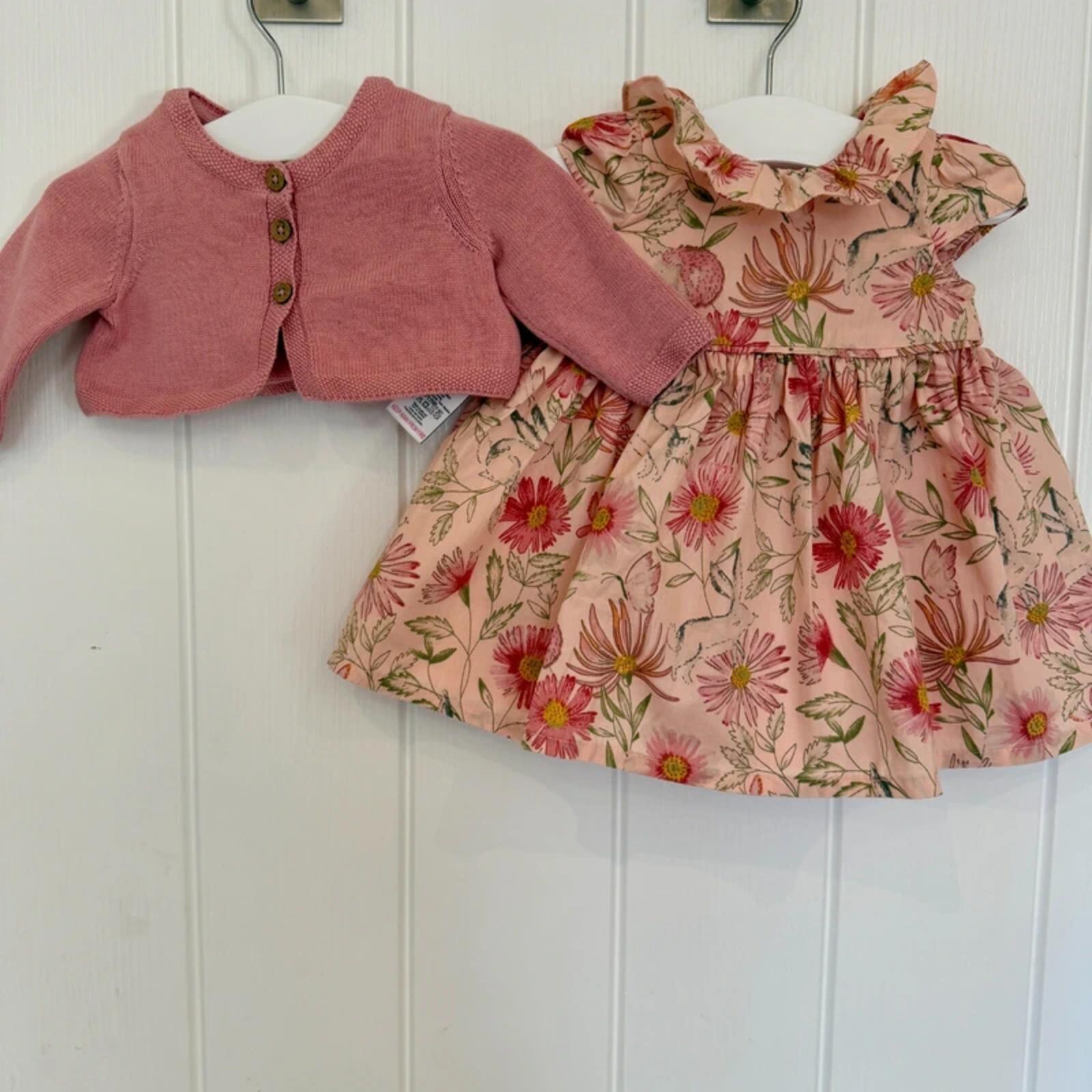 Baby Girl First Size 3.4 kg Next Rose Floral Smart Dress Set (47 01)