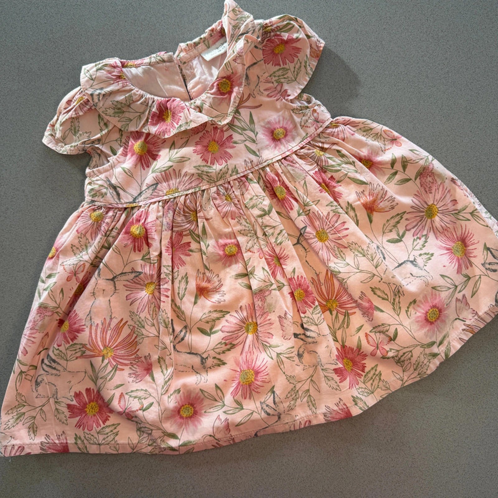 Baby Girl 3-6 months Next Pink Floral Lined Dress with Ruffles (45 24)