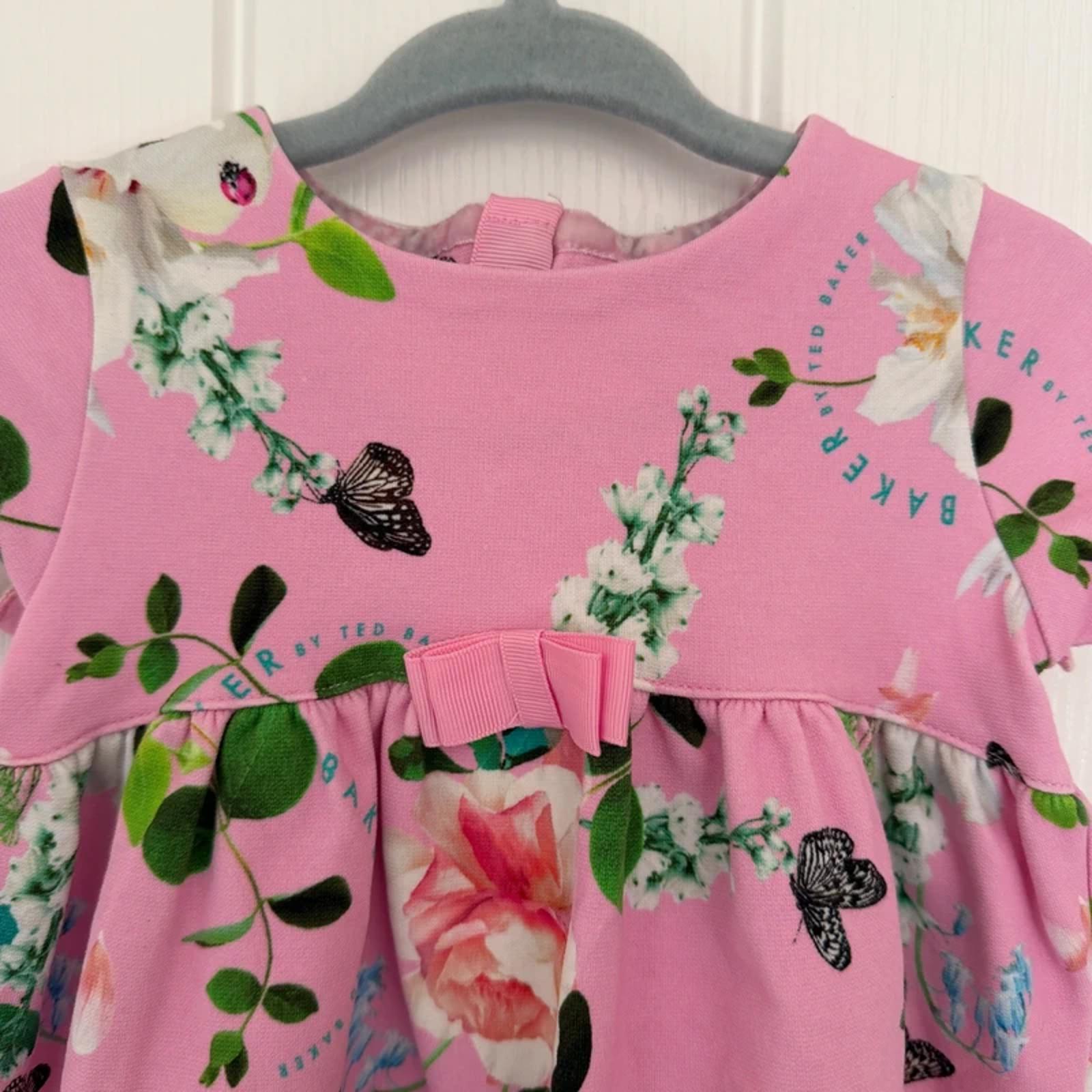 Baby Girl 3-6 months Ted Baker Pink Floral Short Sleeve Dress (42 30)
