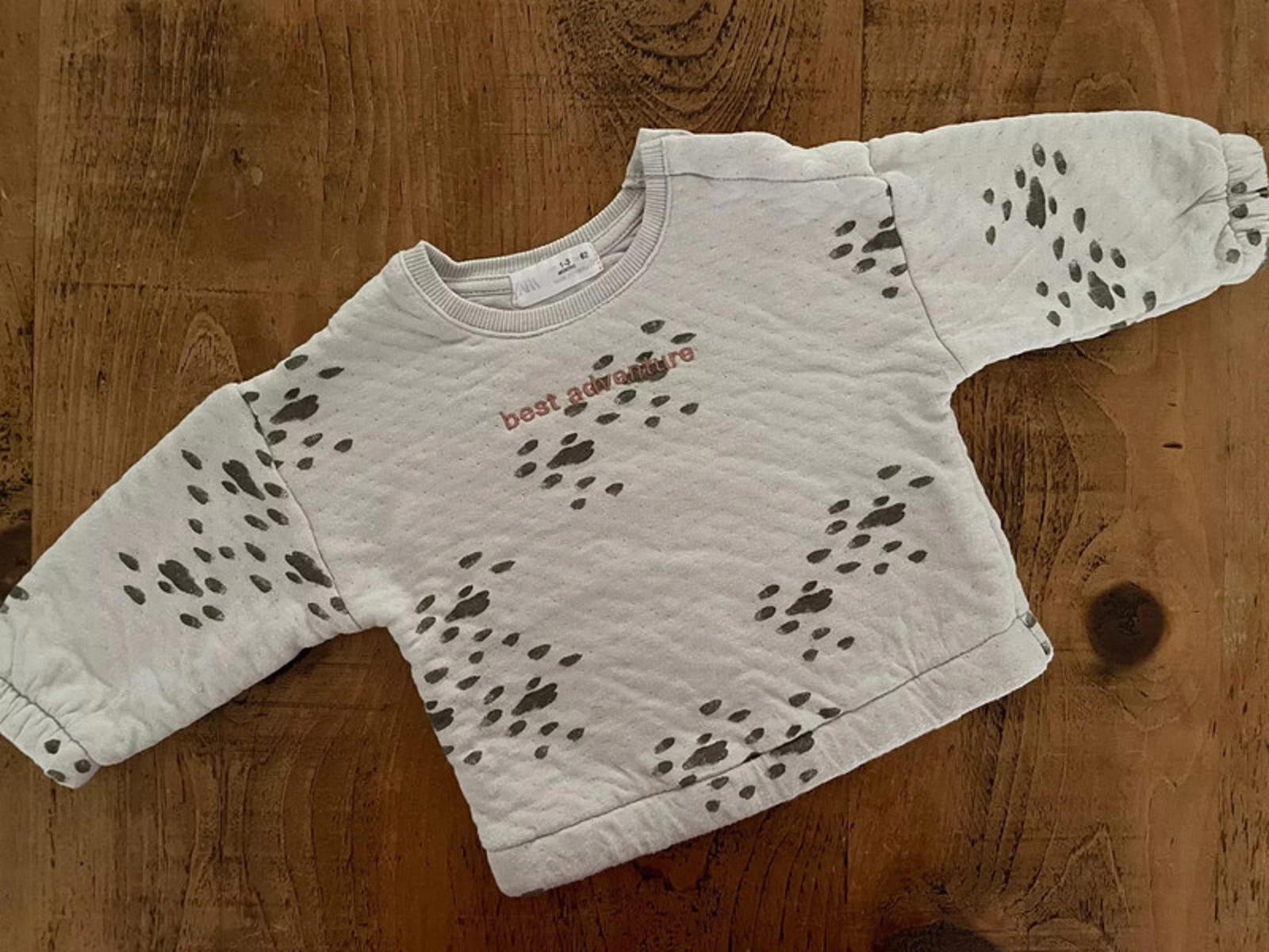 Baby Boy Girl Unisex 0-3 months ZARA Best Adventure Lined Sweatshirt  (43 02)