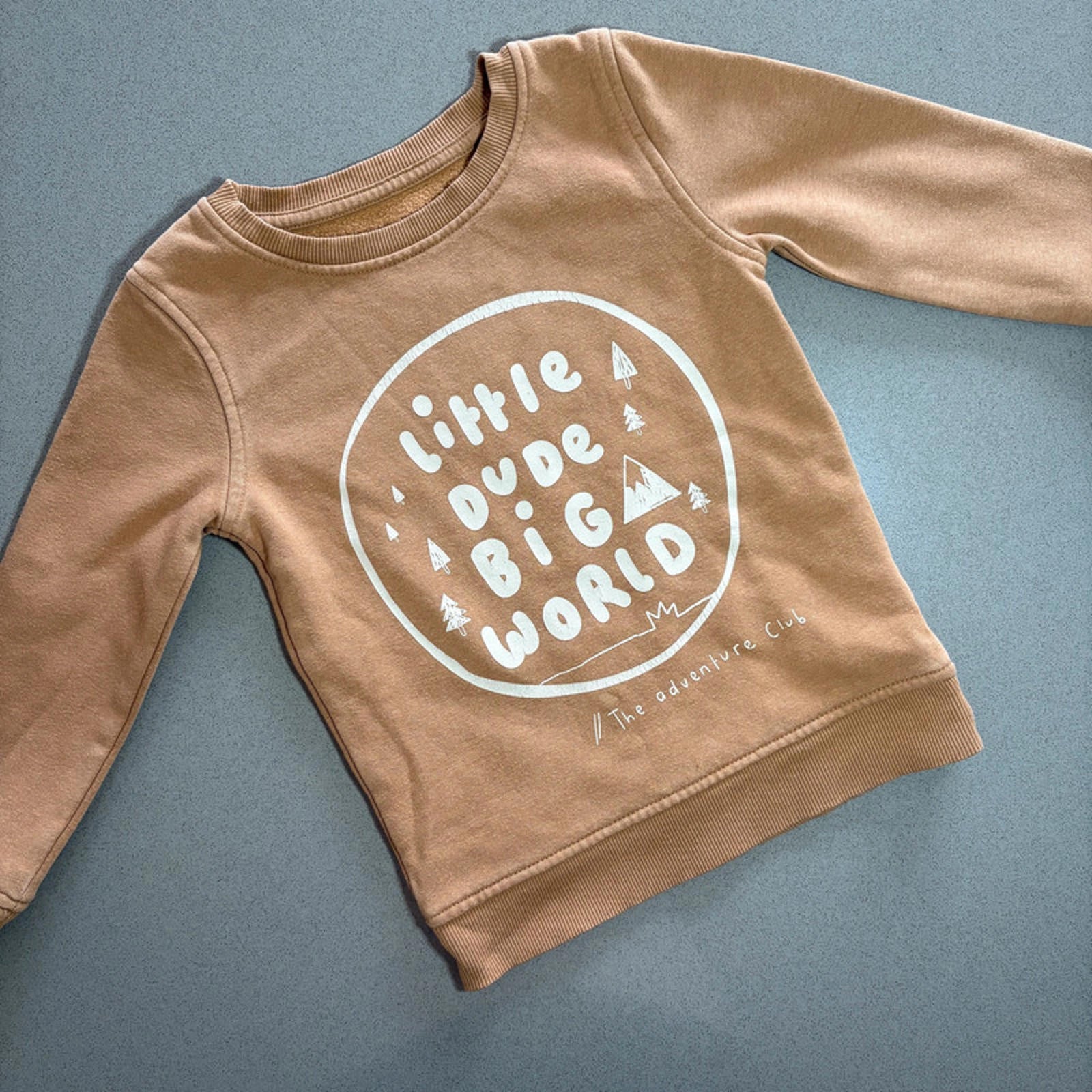 Boy age 3-4 years George Beige Little Dude Big World Pullover Sweatshirt (37 35)