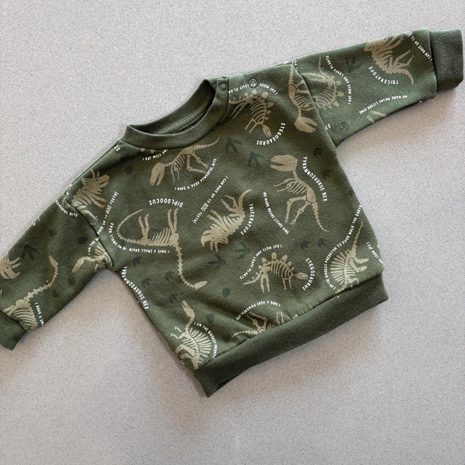 Baby Boy 3-6 months Primark Green Dinosaur Sweatshirt (44 14)