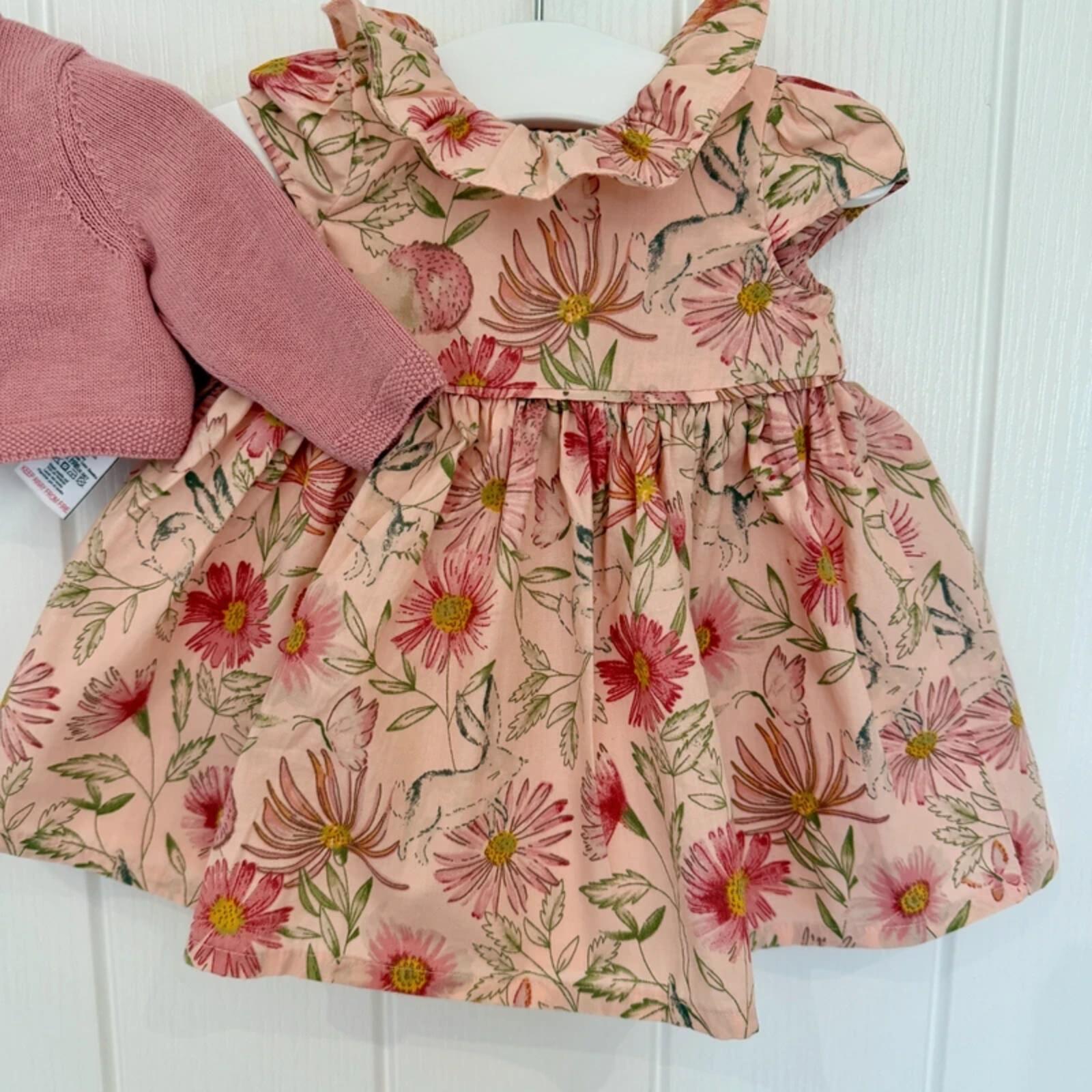 Baby Girl First Size 3.4 kg Next Rose Floral Smart Dress Set (47 01)