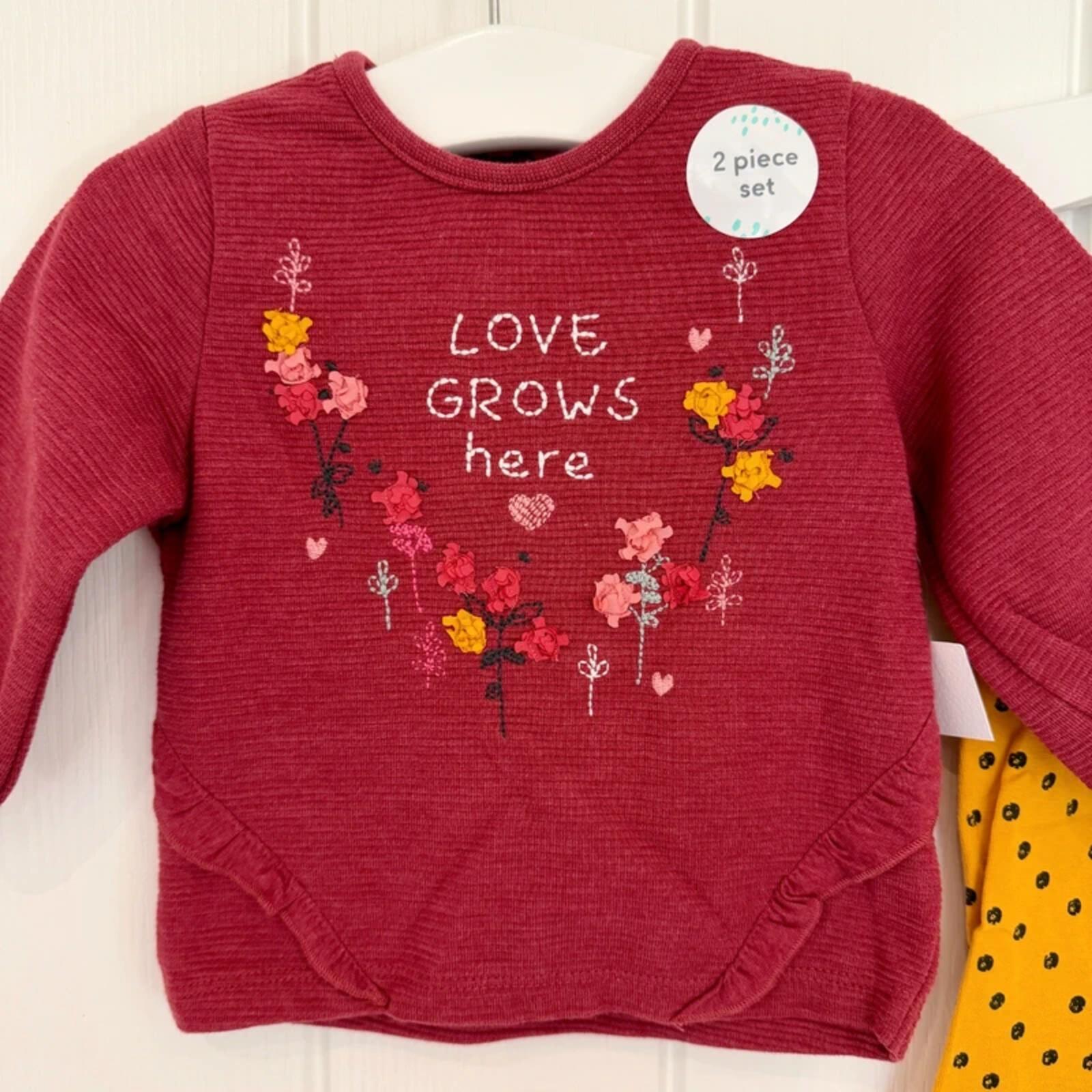 Baby Girl 0-3 months F&F 2 Piece Love Grows Here Outfit BNWT (54 21)
