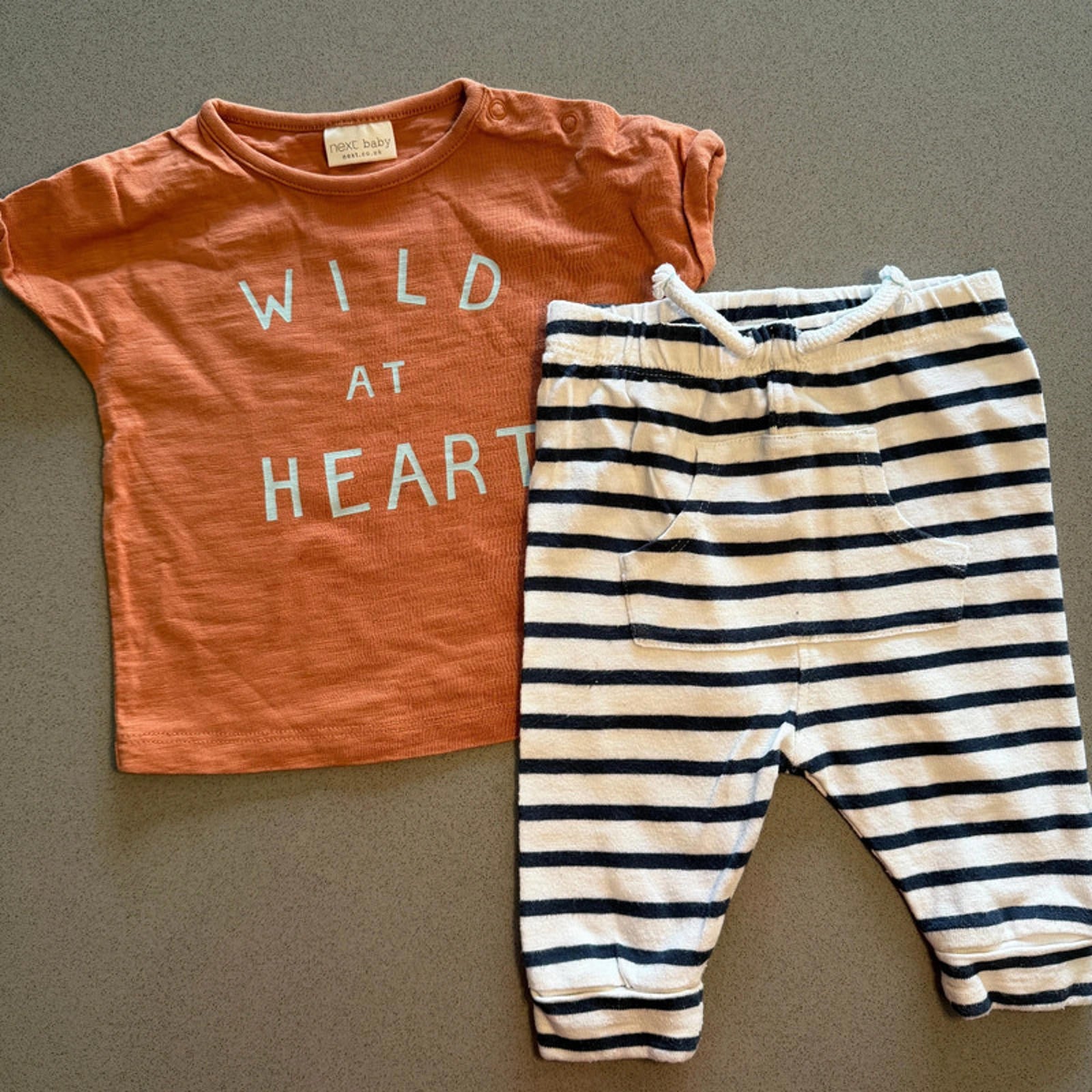 Baby Boy 0-3 months Next Wild at Heart 2 Piece Outfit (45 21)